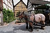 (c) m.mueller - bild 3.jpg